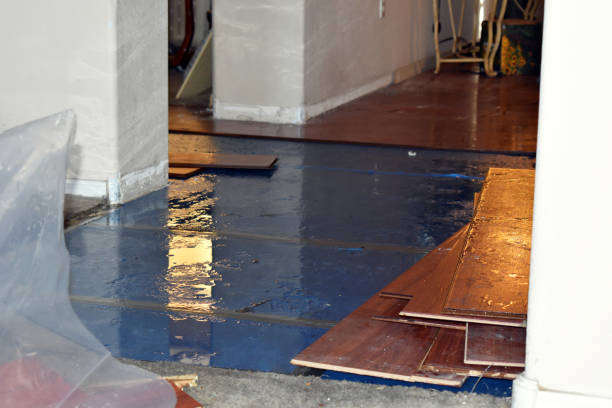 Professional Basement Flood Cleanup technician working in Hardin, TX